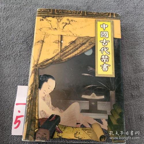 古代禁书在线观看,穿越时空的禁锢与智慧  第1张 古代禁书在线观看,穿越时空的禁锢与智慧  第1张